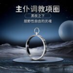 sm男女束缚金属项圈情趣用品成人性用品玩具手铐脚铐颈圈主仆调教