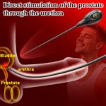 千夜1号电动硅胶尿道堵马眼震动棒男电动控制SM另类情趣道具 - Image 3