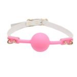 情趣硅胶口球sm束缚道具炫彩口塞女用调教堵嘴口水球成人性用品 - 画像 (5)