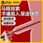 沃色sm马眼棒震动男奴下体惩罚调教工具高潮神器男用品情趣道具 - ຮູບທີ 2