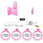 3D负数鱼篓贞操锁轻便款带漏尿孔阴茎束缚鸟笼 - Image 4